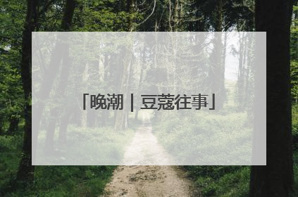 晚潮｜豆蔻往事