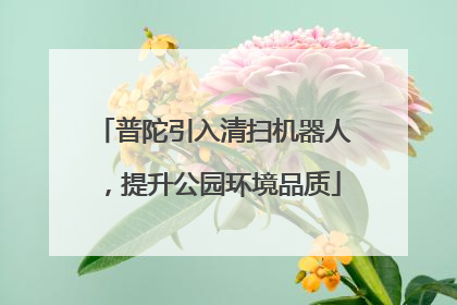普陀引入清扫机器人，提升公园环境品质