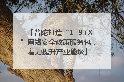 普陀打造“1+9+X”网络安全政策服务包，着力提升产业能级