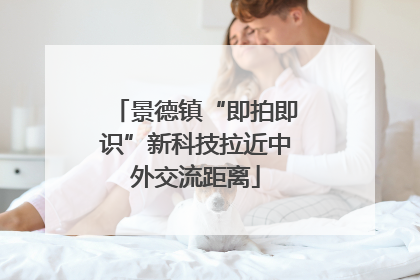 景德镇“即拍即识”新科技拉近中外交流距离