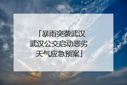 暴雨突袭武汉 武汉公交启动恶劣天气应急预案