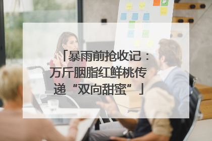 暴雨前抢收记：万斤胭脂红鲜桃传递“双向甜蜜”