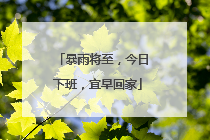 暴雨将至，今日下班，宜早回家