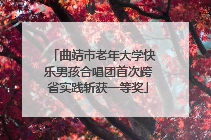 曲靖市老年大学快乐男孩合唱团首次跨省实践斩获一等奖
