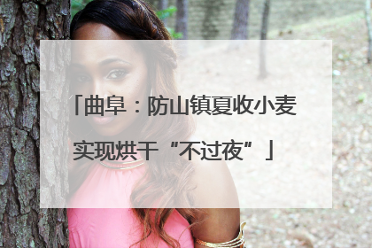 曲阜：防山镇夏收小麦实现烘干“不过夜”