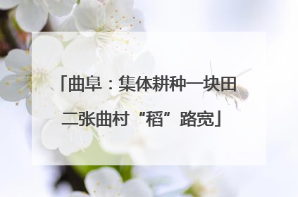 曲阜：集体耕种一块田 二张曲村“稻”路宽