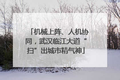 机械上阵、人机协同，武汉临江大道“扫”出城市精气神