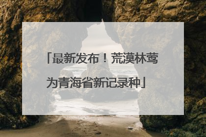 最新发布！荒漠林莺为青海省新记录种