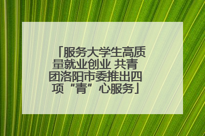 服务大学生高质量就业创业 共青团洛阳市委推出四项“青”心服务