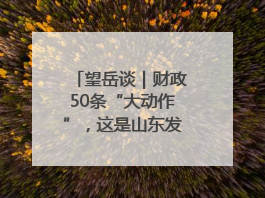 望岳谈｜财政50条“大动作”，这是山东发展民企的决心