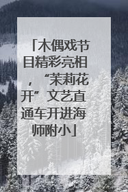木偶戏节目精彩亮相，“茉莉花开”文艺直通车开进海师附小
