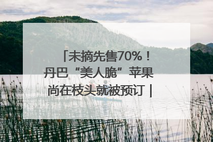 未摘先售70%！丹巴“美人脆”苹果尚在枝头就被预订｜长征路上看四川