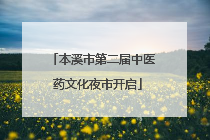 本溪市第二届中医药文化夜市开启
