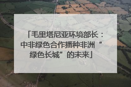 毛里塔尼亚环境部长：中非绿色合作播种非洲“绿色长城”的未来