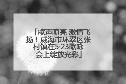 歌声嘹亮 激情飞扬！威海市环翠区张村镇在5·23歌咏会上绽放光彩