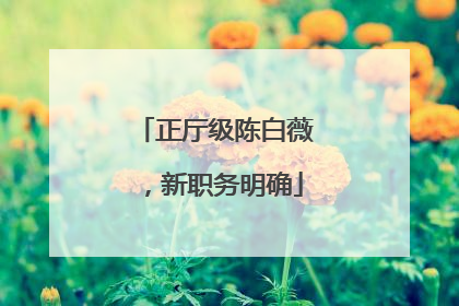 正厅级陈白薇，新职务明确
