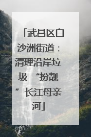 武昌区白沙洲街道：清理沿岸垃圾 “扮靓”长江母亲河