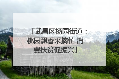 武昌区杨园街道：桃园飘香采摘忙 消费扶贫促振兴