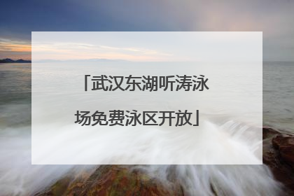 武汉东湖听涛泳场免费泳区开放