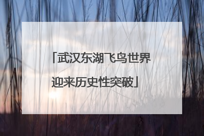 武汉东湖飞鸟世界迎来历史性突破