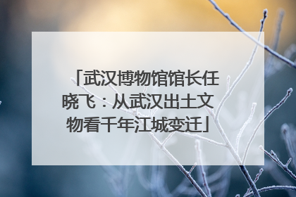 武汉博物馆馆长任晓飞：从武汉出土文物看千年江城变迁