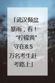 武汉倾盆暴雨，看！“柠檬黄”守在8.5万名考生赶考路上