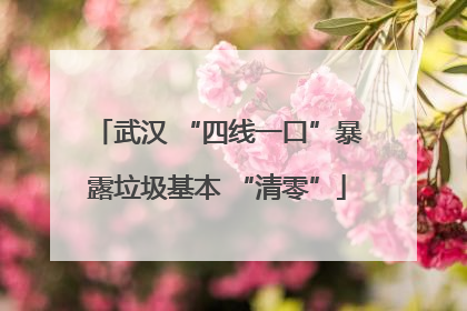 武汉 “四线一口”暴露垃圾基本 “清零”