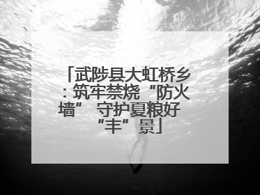武陟县大虹桥乡：筑牢禁烧“防火墙” 守护夏粮好“丰”景