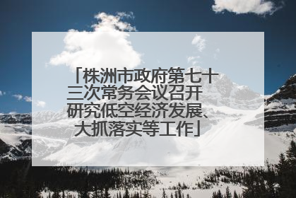 株洲市政府第七十三次常务会议召开 研究低空经济发展、大抓落实等工作
