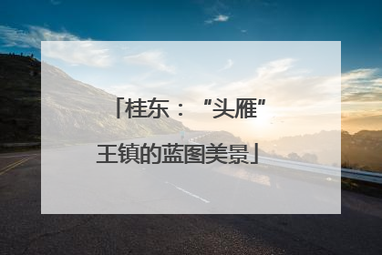 桂东：“头雁”王镇的蓝图美景