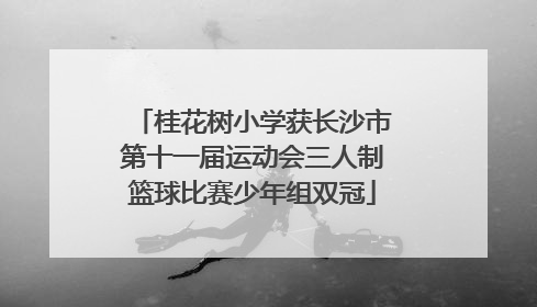 桂花树小学获长沙市第十一届运动会三人制篮球比赛少年组双冠