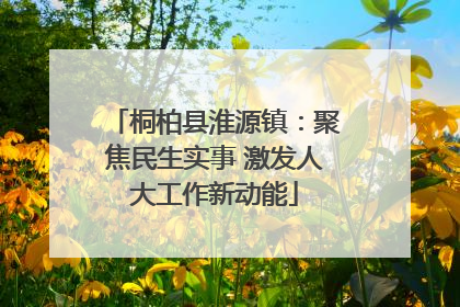 桐柏县淮源镇：聚焦民生实事 激发人大工作新动能