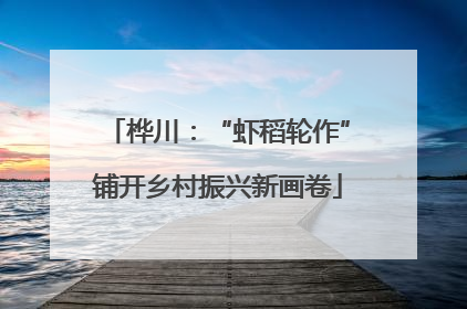 桦川：“虾稻轮作”铺开乡村振兴新画卷