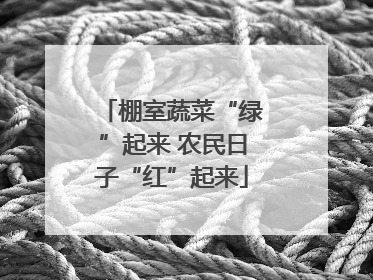 棚室蔬菜“绿”起来 农民日子“红”起来