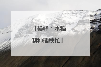 横峰：水稻制种插秧忙