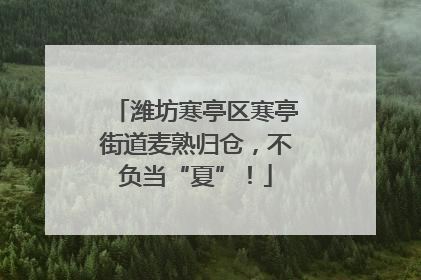 潍坊寒亭区寒亭街道麦熟归仓，不负当“夏”！