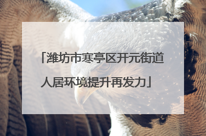 潍坊市寒亭区开元街道人居环境提升再发力