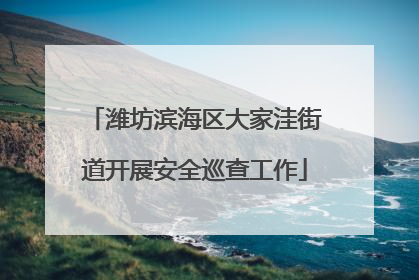 潍坊滨海区大家洼街道开展安全巡查工作