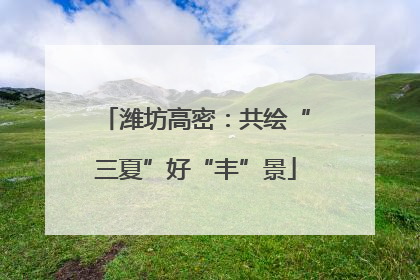 潍坊高密：共绘“三夏”好“丰”景