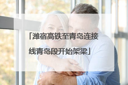 潍宿高铁至青岛连接线青岛段开始架梁