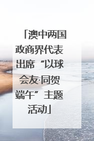 澳中两国政商界代表出席“以球会友·同贺端午”主题活动