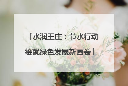 水润王庄：节水行动绘就绿色发展新画卷