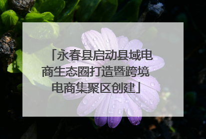 永春县启动县域电商生态圈打造暨跨境电商集聚区创建