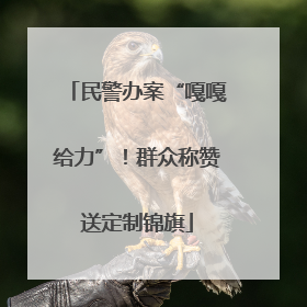 民警办案“嘎嘎给力”！群众称赞送定制锦旗