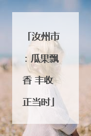 汝州市：瓜果飘香 丰收正当时