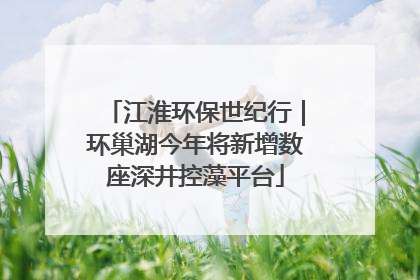 江淮环保世纪行｜环巢湖今年将新增数座深井控藻平台