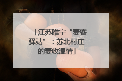 江苏睢宁“麦客驿站”：苏北村庄的麦收温情