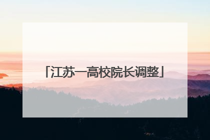 江苏一高校院长调整