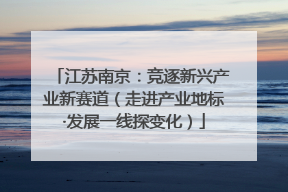 江苏南京：竞逐新兴产业新赛道（走进产业地标·发展一线探变化）