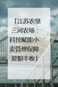 江苏农垦三河农场：科技赋能小麦管理保障夏粮丰收